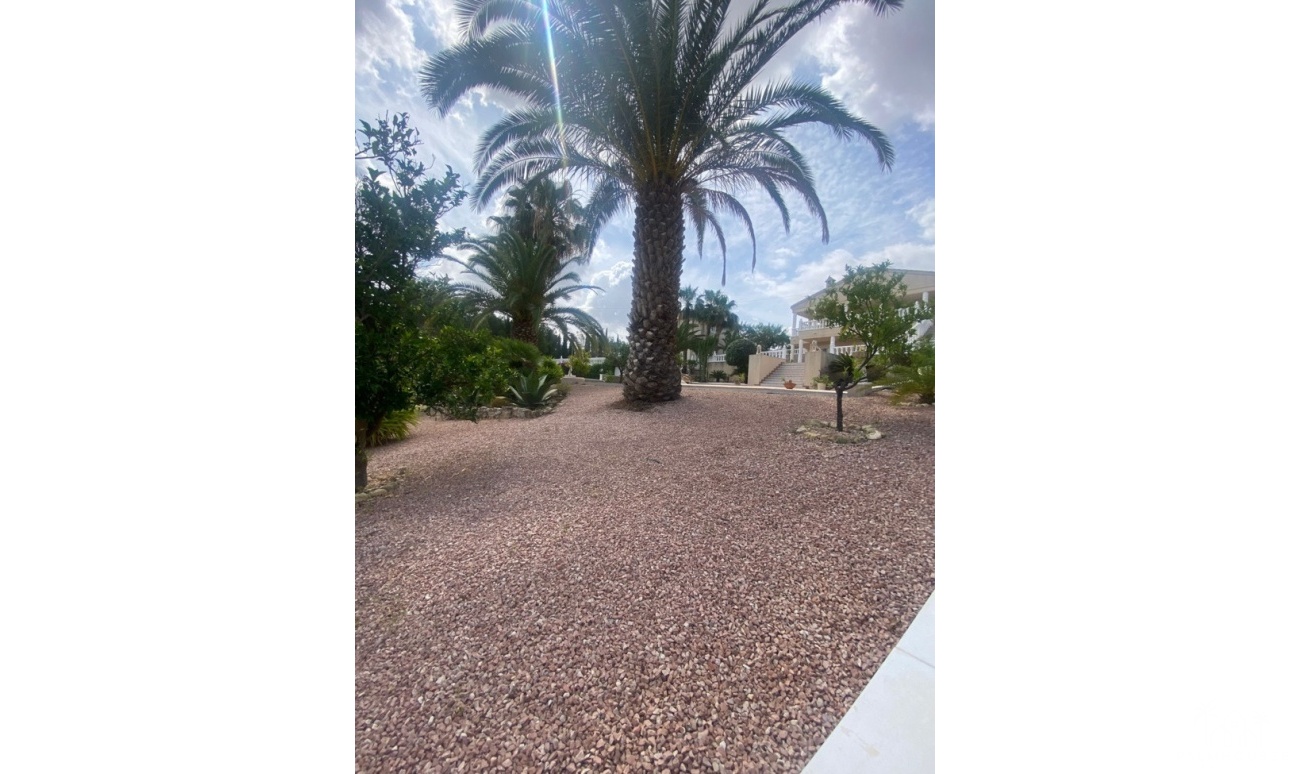 Herverkoop - Villa - Algorfa - Inland