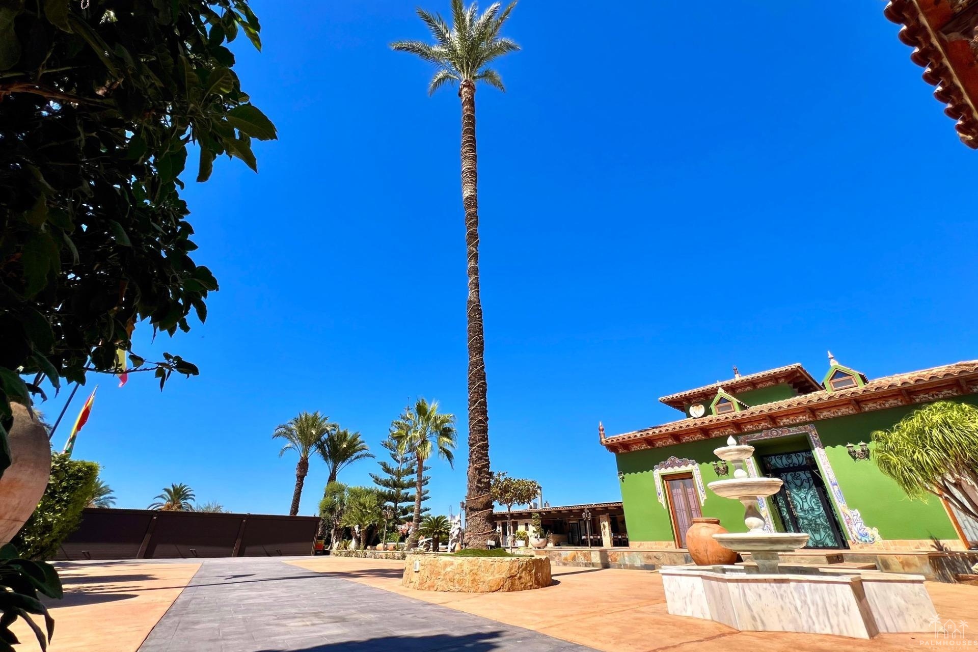 Herverkoop - Villa - Almoradi - Comunidad Valenciana