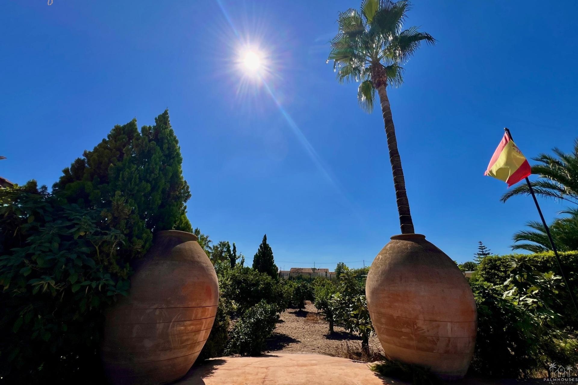 Herverkoop - Villa - Almoradi - Comunidad Valenciana