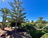 Herverkoop - Villa - Almoradi - Comunidad Valenciana