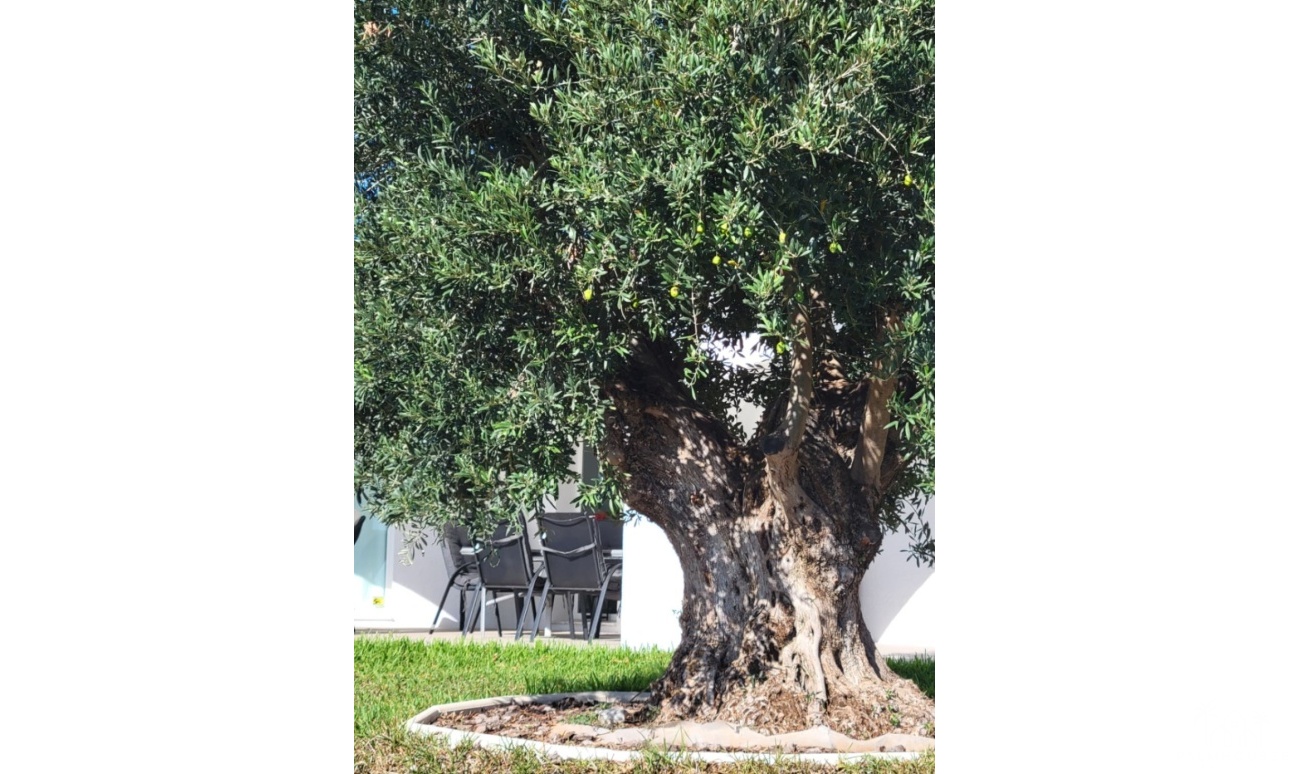Herverkoop - Villa - Calpe - Calpe Centro