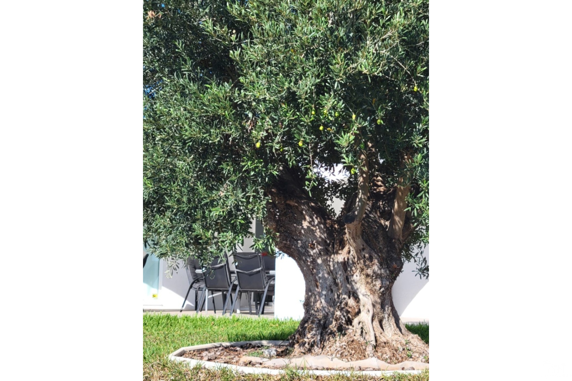Herverkoop - Villa - Calpe - Calpe Centro