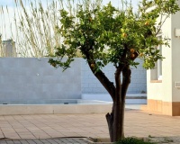 Herverkoop - Villa - Campello - El Campello - Campello - El Campello Centro