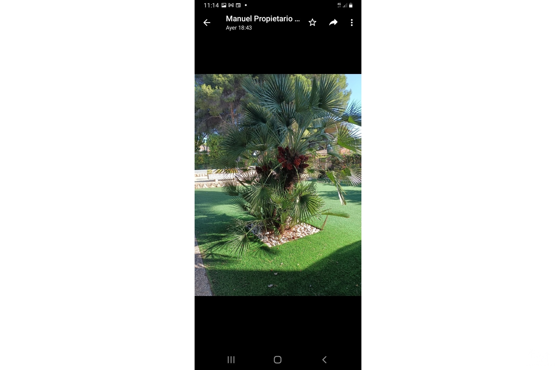 Herverkoop - Villa - Campoamor - Costa Blanca