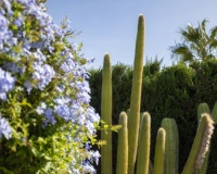 Herverkoop - Villa - Cartagena - Playa Honda