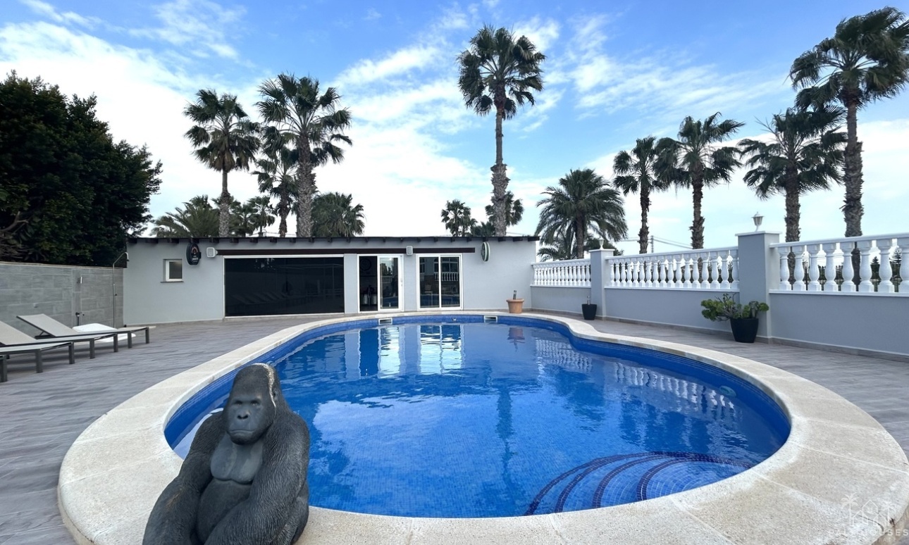 Herverkoop - Villa - Catral - Costa Blanca