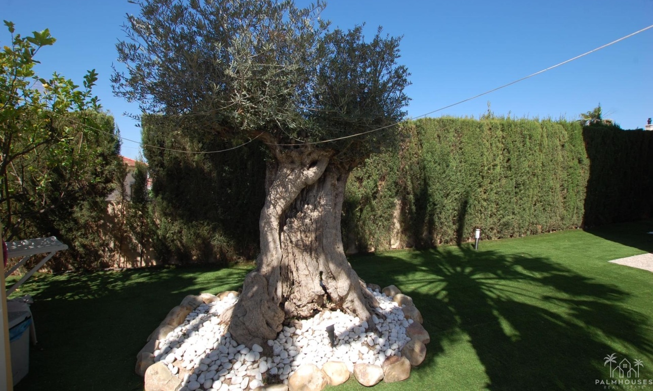 Herverkoop - Villa - Ciudad Quesada - Costa Blanca