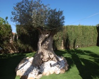 Herverkoop - Villa - Ciudad Quesada - Costa Blanca