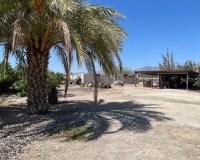 Herverkoop - Villa - Crevillent - Inland
