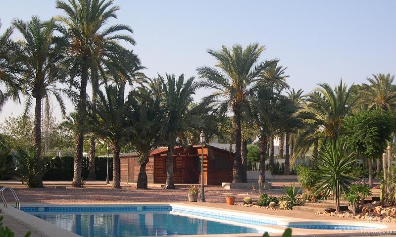 Herverkoop - Villa - Elche - Costa Blanca