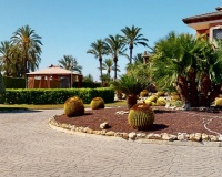 Herverkoop - Villa - Elche - Costa Blanca