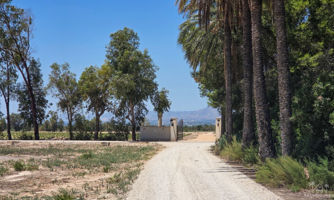 Herverkoop - Villa - Elche - Costa Blanca