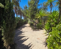 Herverkoop - Villa - Elche - Costa Blanca