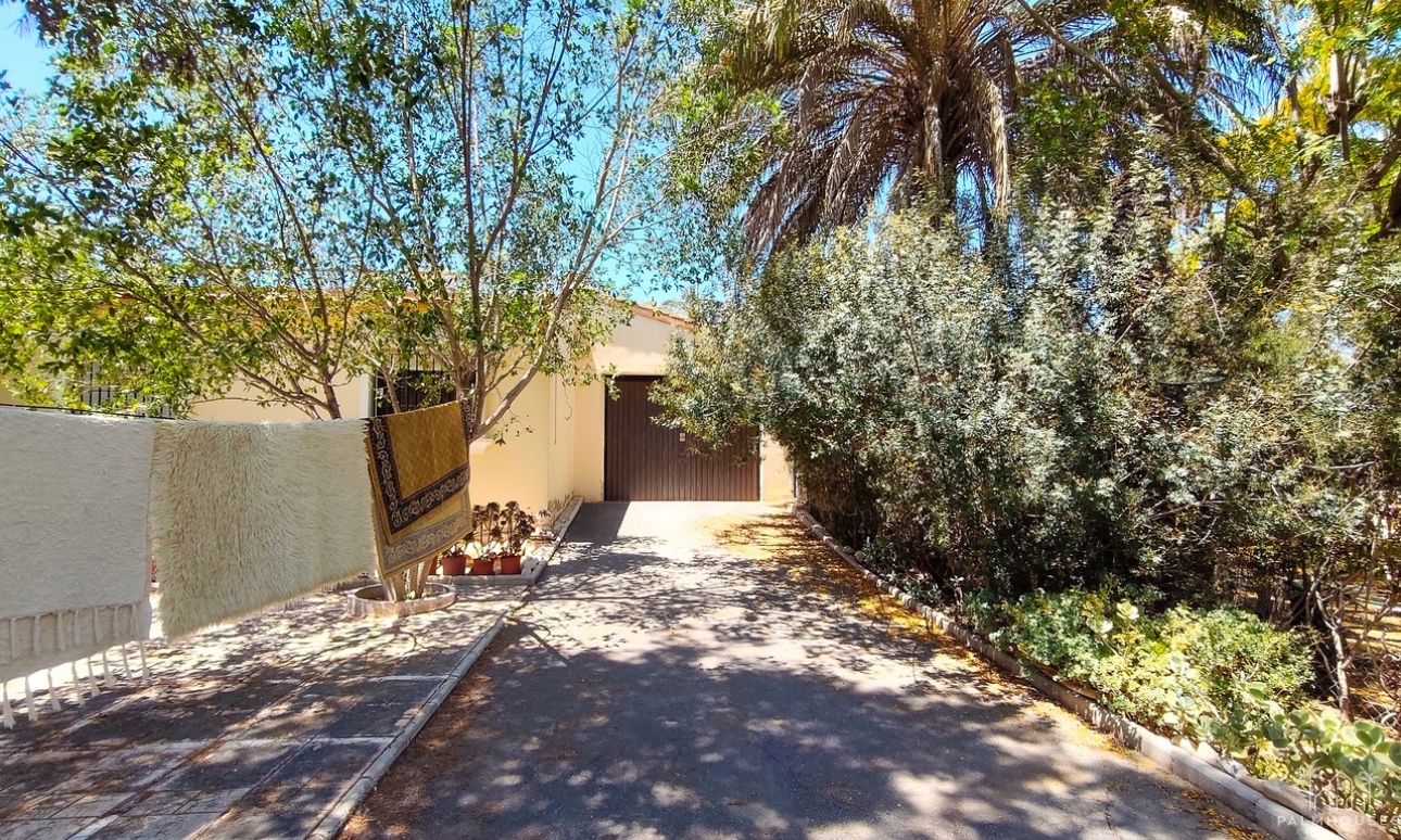 Herverkoop - Villa - Elche - Costa Blanca