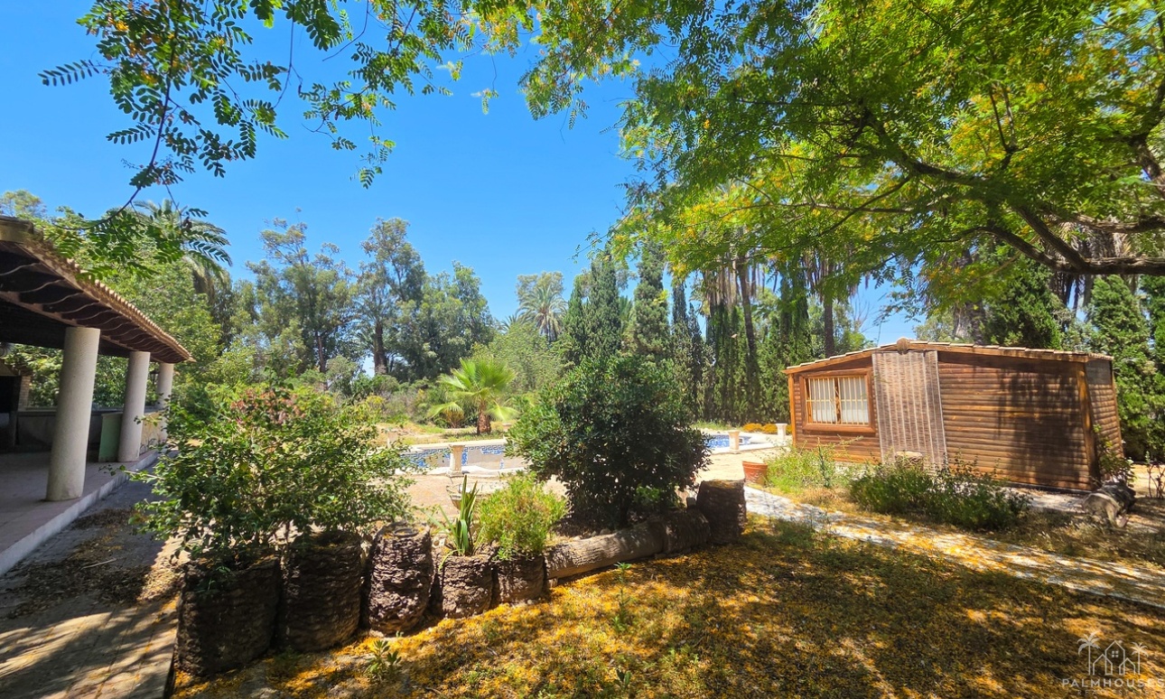 Herverkoop - Villa - Elche - Costa Blanca