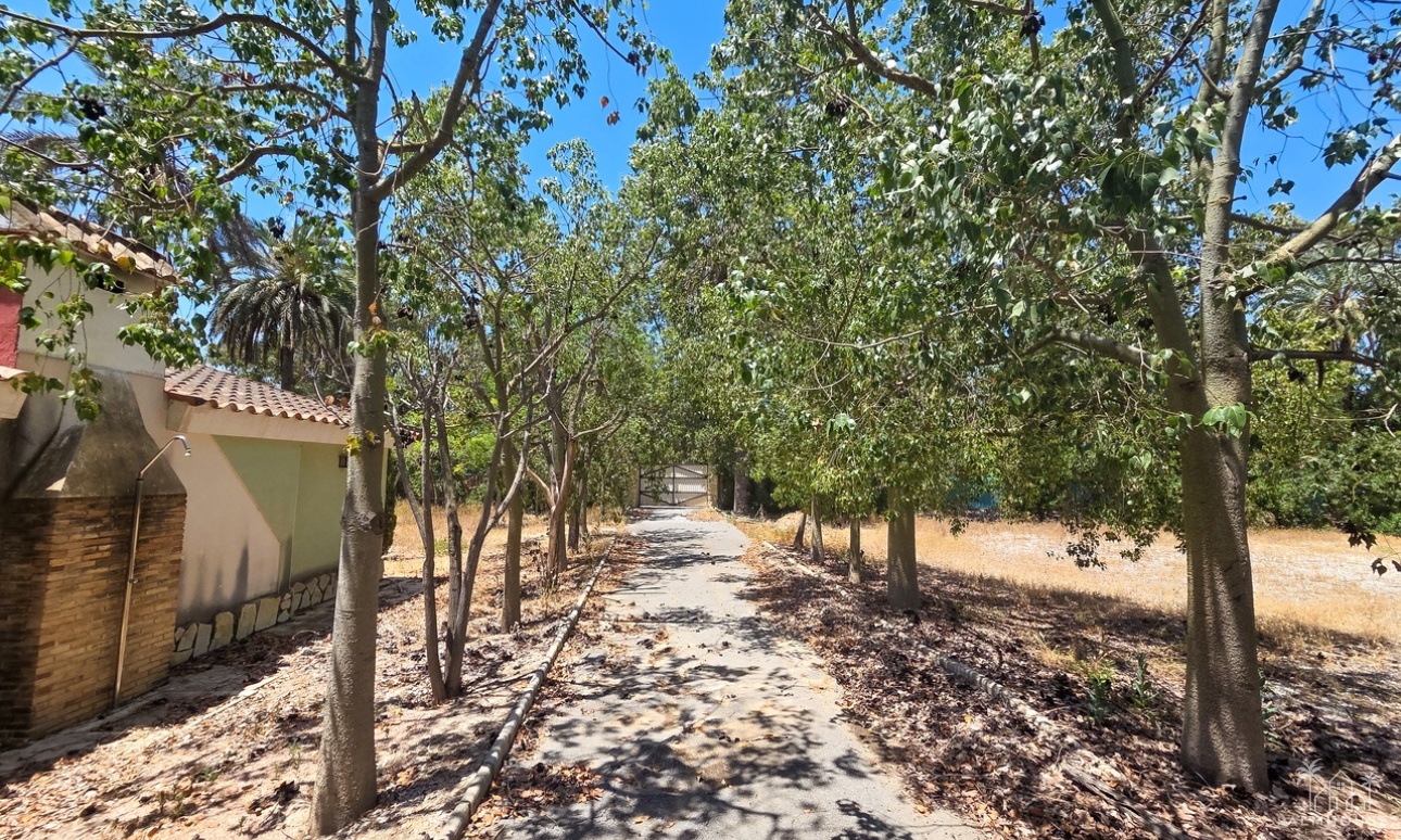 Herverkoop - Villa - Elche - Costa Blanca
