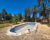 Herverkoop - Villa - Elche - Costa Blanca