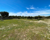 Herverkoop - Villa - Guardamar del Segura - Guardamar del Segura Centro