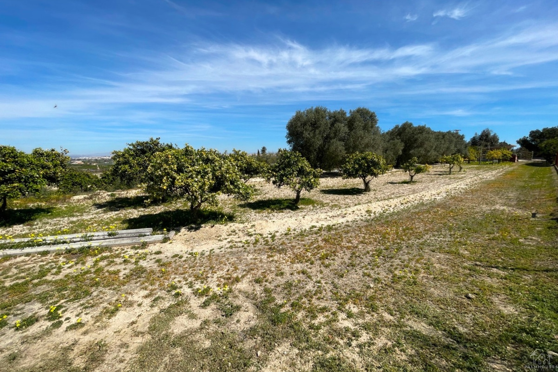 Herverkoop - Villa - Guardamar del Segura - Guardamar del Segura Centro