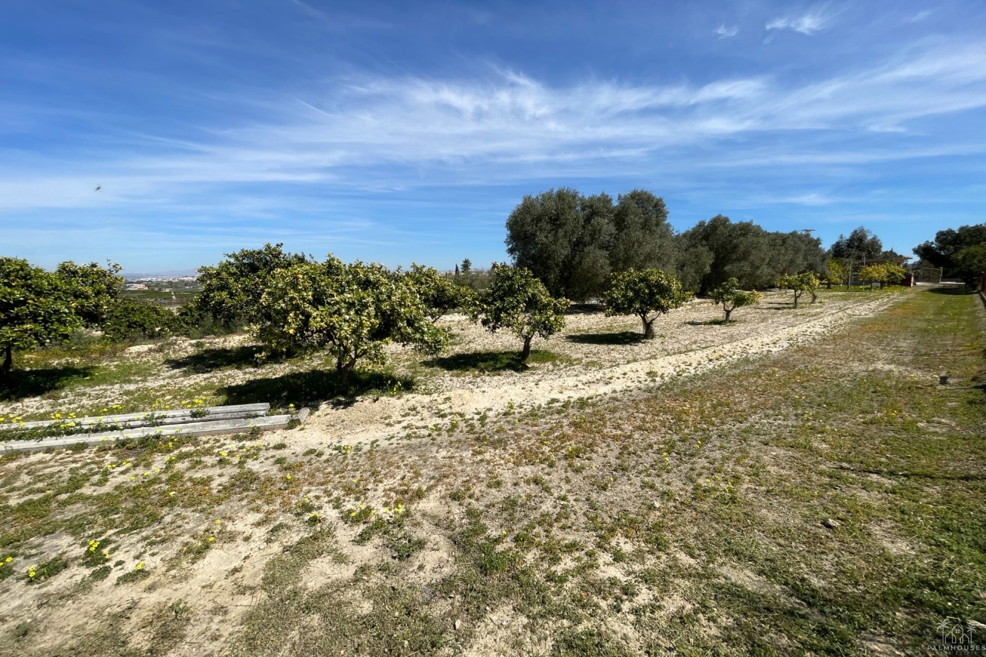 Herverkoop - Villa - Guardamar del Segura - Valencian Community
