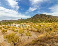 Herverkoop - Villa - Jumilla - Inland