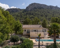 Herverkoop - Villa - La Zarza - Inland