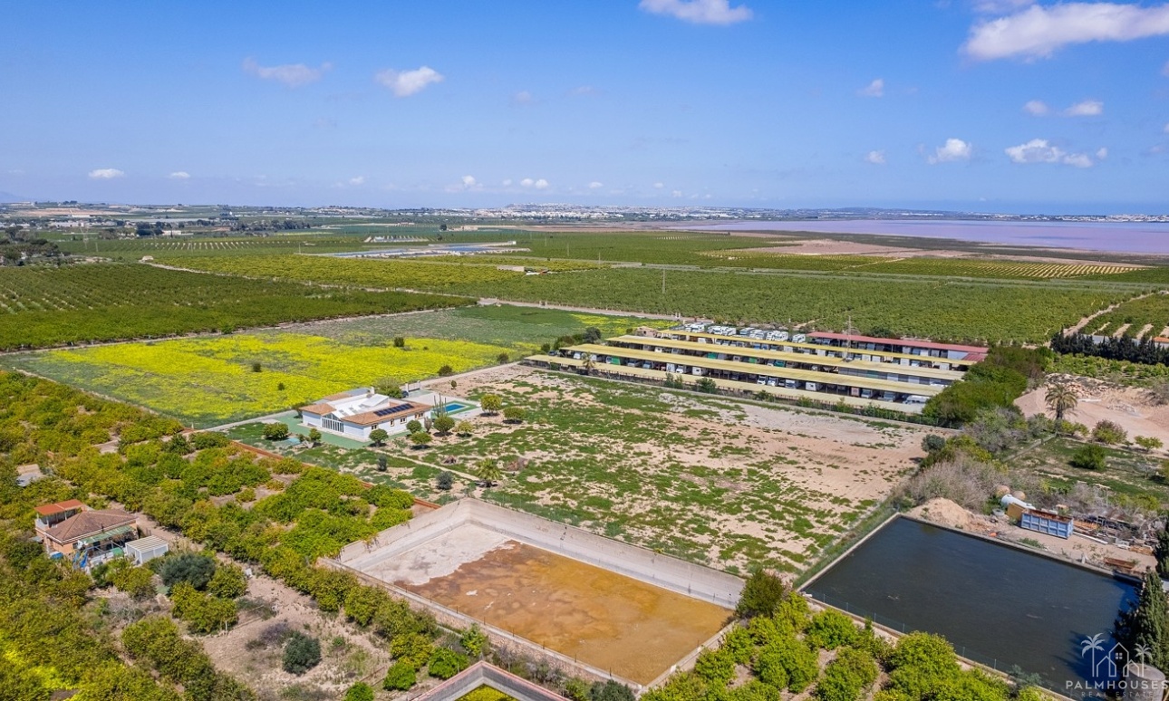 Herverkoop - Villa - Los Montesinos - Costa Blanca