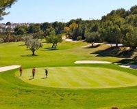 Herverkoop - Villa - Los Montesinos