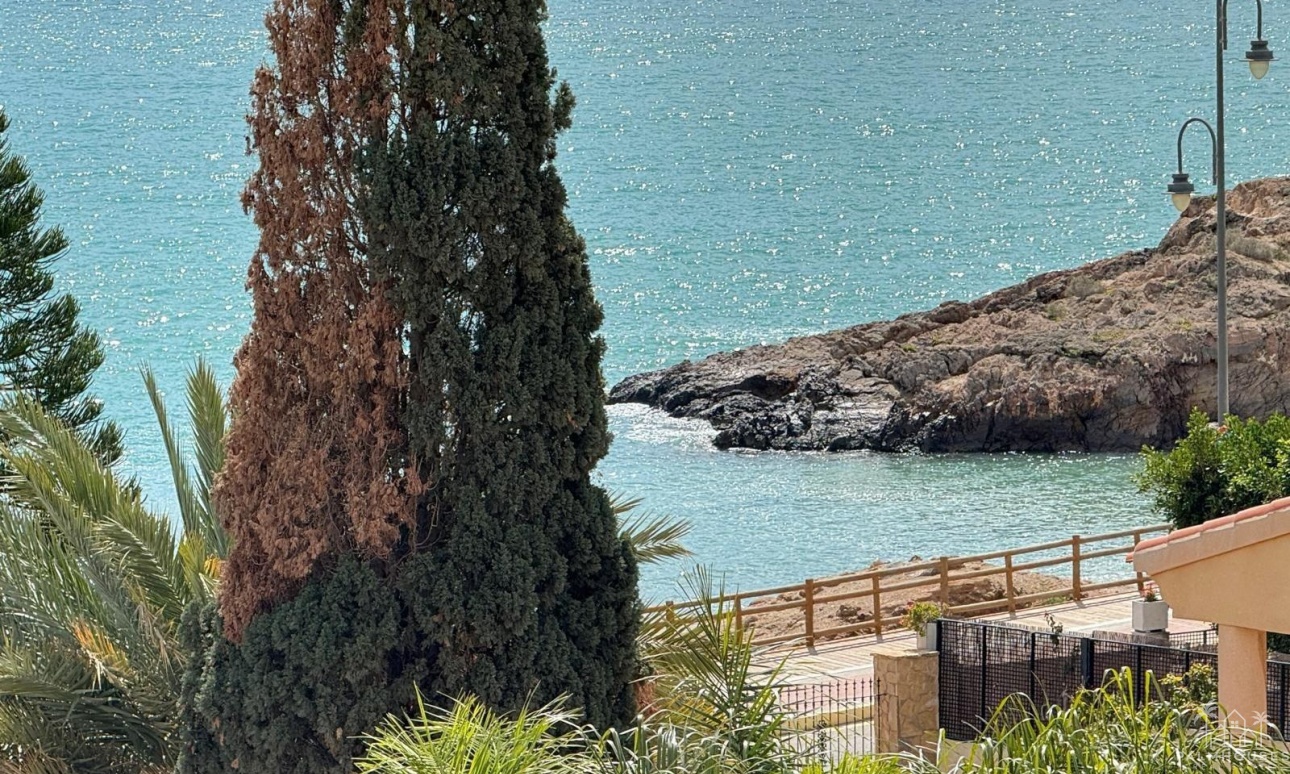 Herverkoop - Villa - Mazarron - Bolnuevo