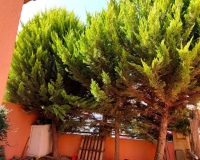 Herverkoop - Villa - Mazarron - Mazarrón Centro
