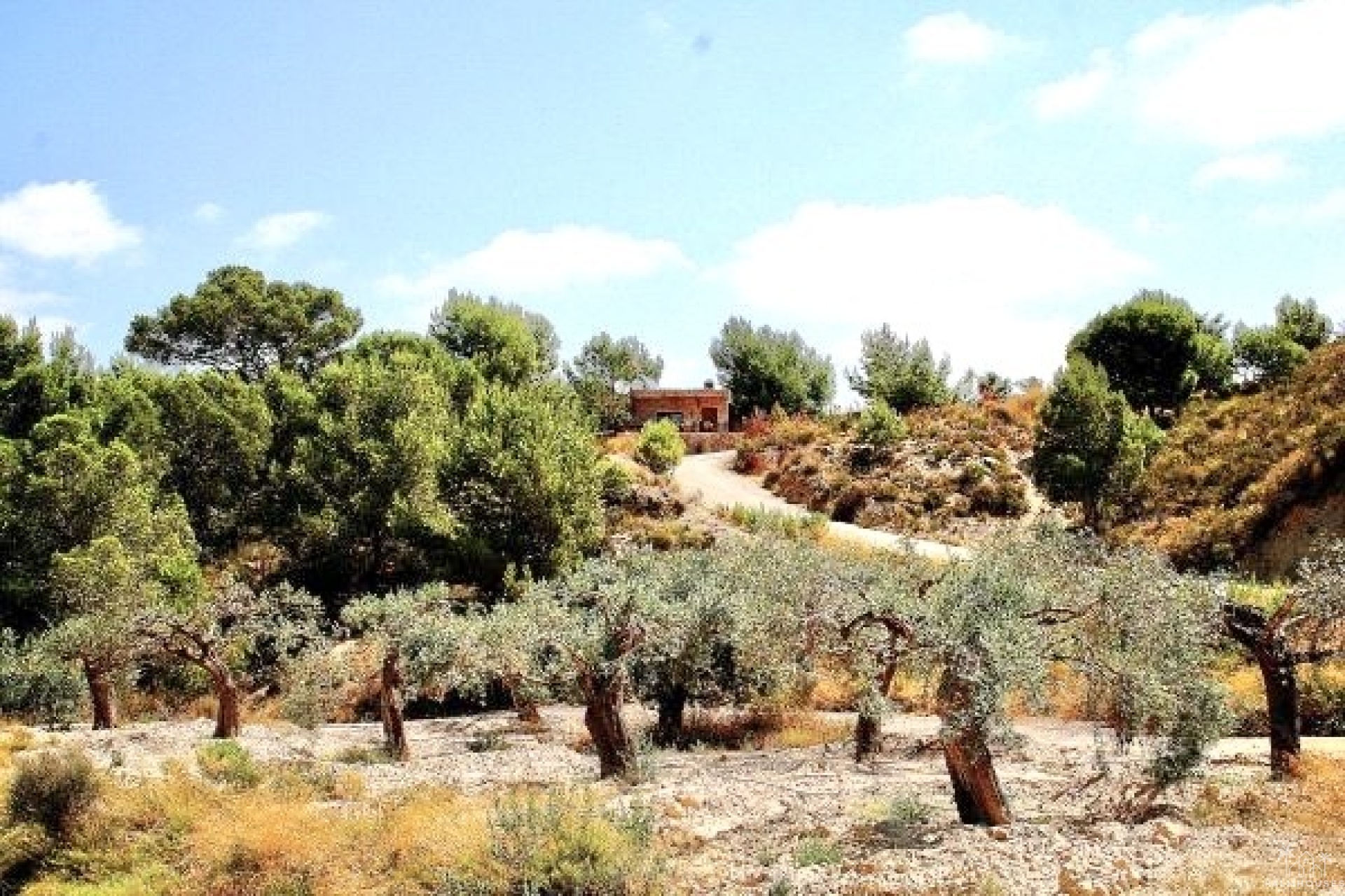 Herverkoop - Villa - Murcia - Inland