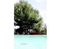 Herverkoop - Villa - Murcia - Inland