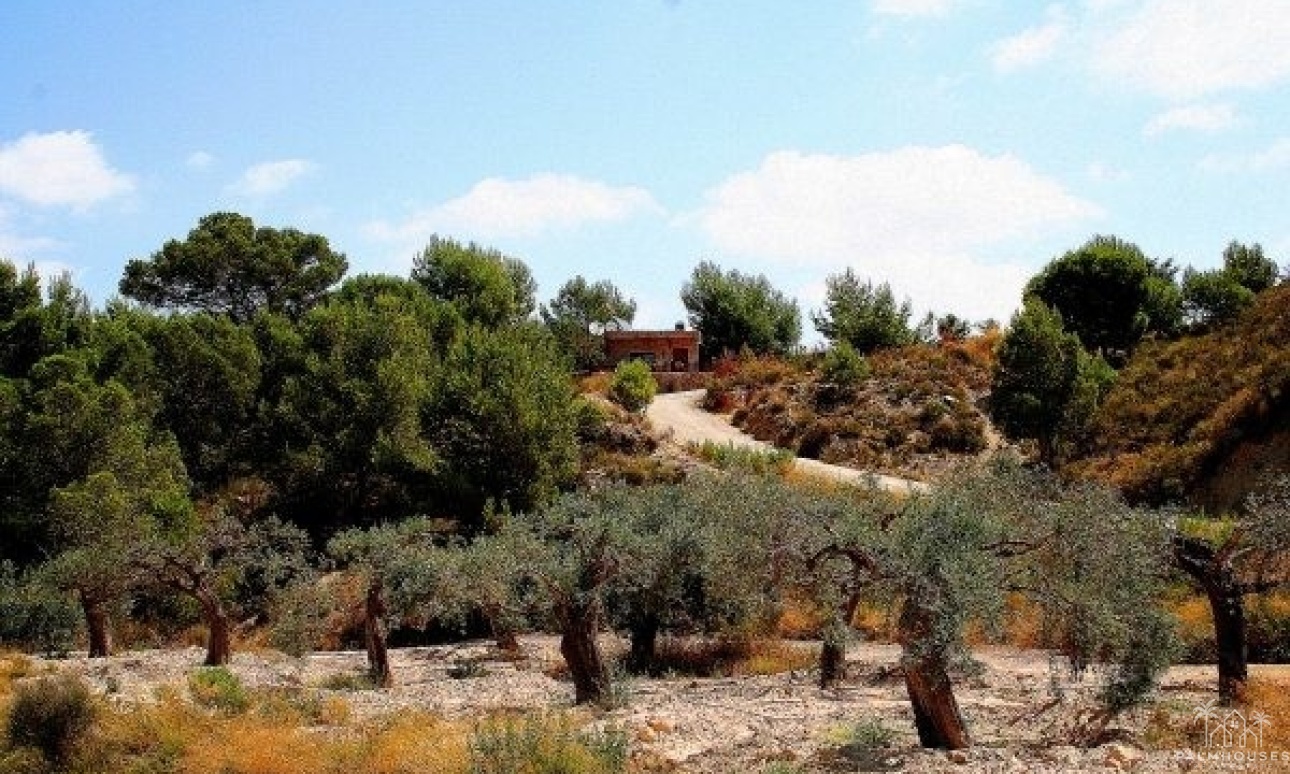 Herverkoop - Villa - Murcia - Inland