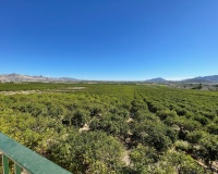 Herverkoop - Villa - Murcia - Murcia City