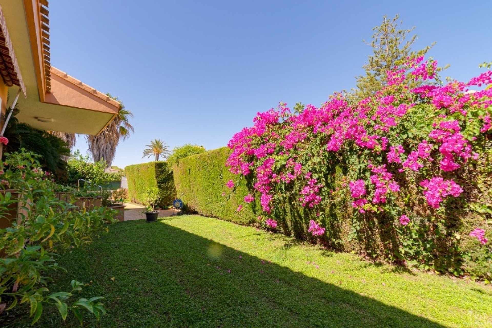 Herverkoop - Villa - Orihuela - Campoamor