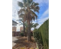 Herverkoop - Villa - Orihuela Costa - Campoamor