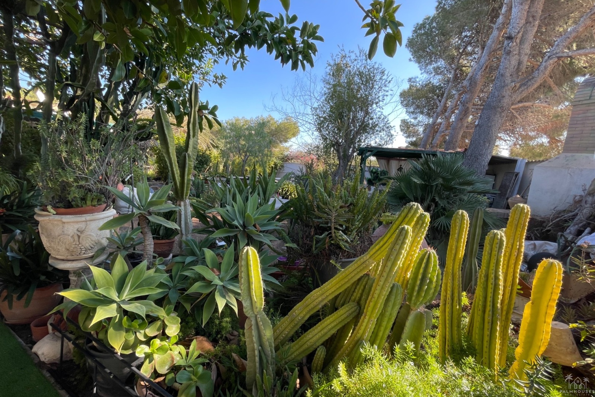 Herverkoop - Villa - Orihuela Costa - Costa Blanca