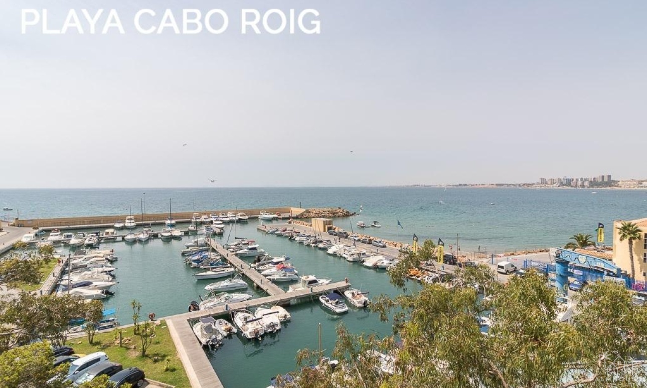 Herverkoop - Villa - Orihuela Costa - Playa Flamenca