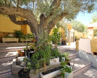 Herverkoop - Villa - Orihuela Costa