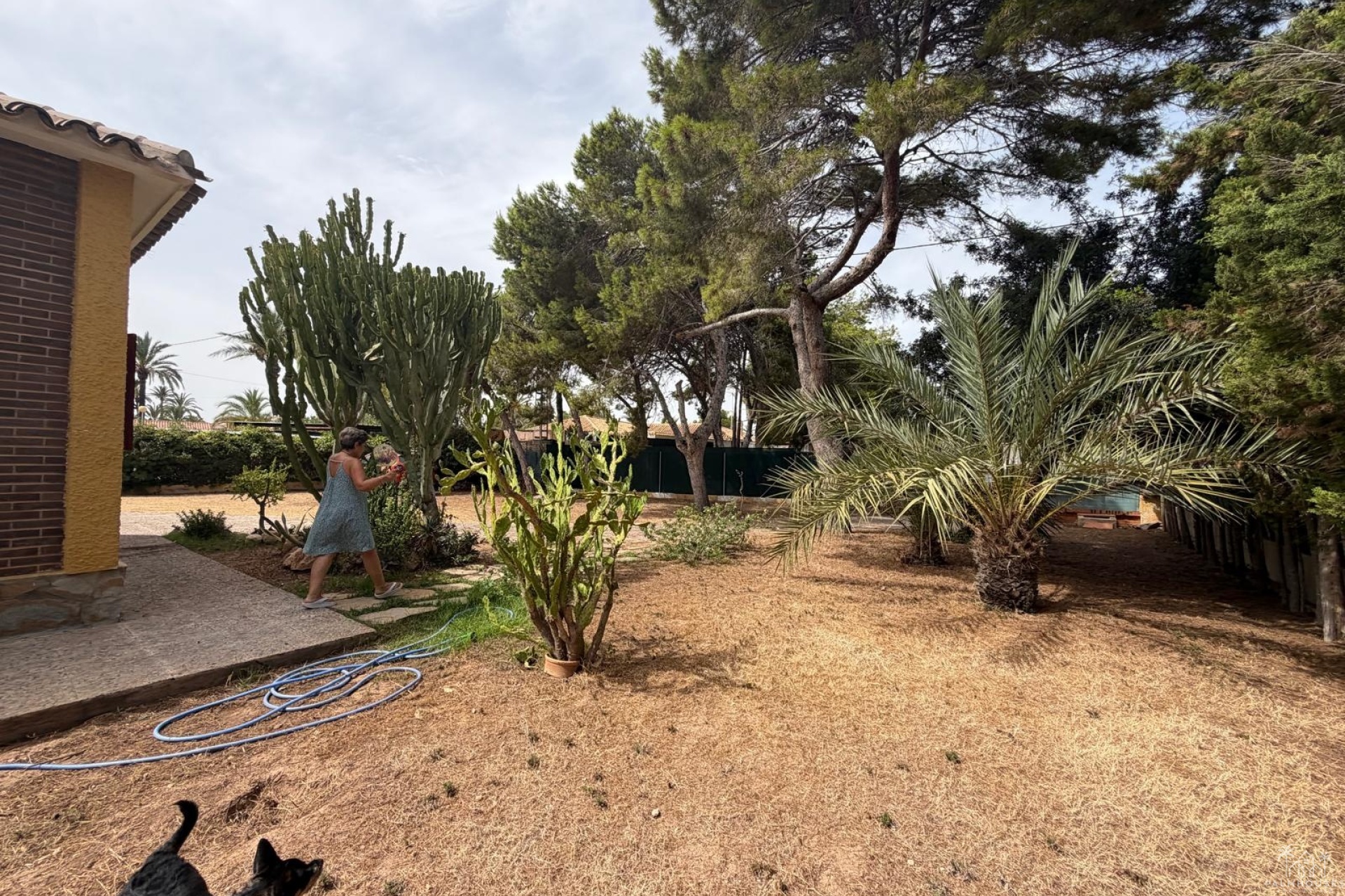 Herverkoop - Villa - Orihuela Costa