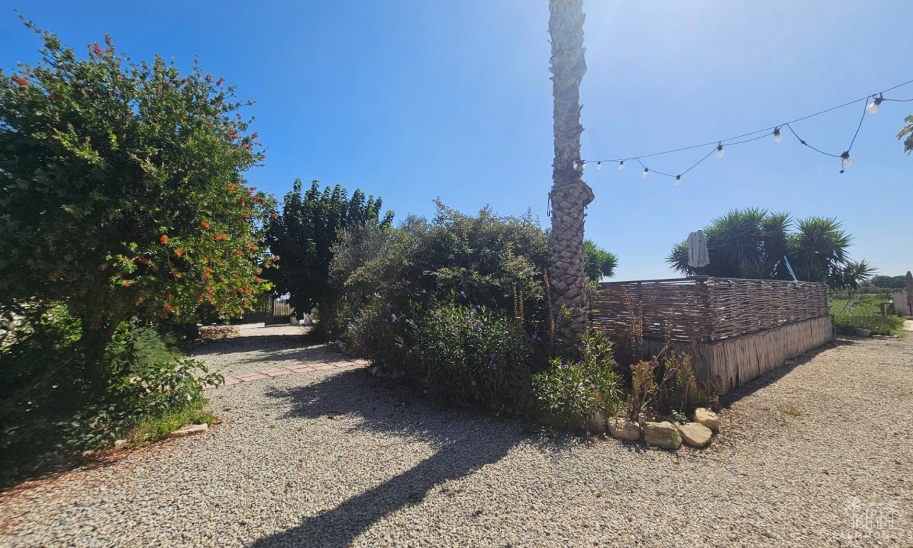 Herverkoop - Villa - Orihuela - Molins-campaneta-san Bartolomé