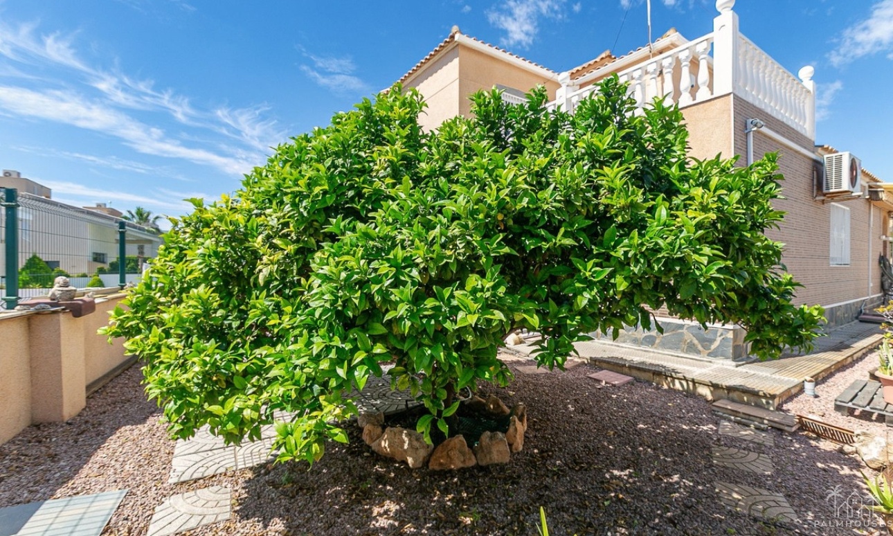 Herverkoop - Villa - Orihuela - Orihuela Costa