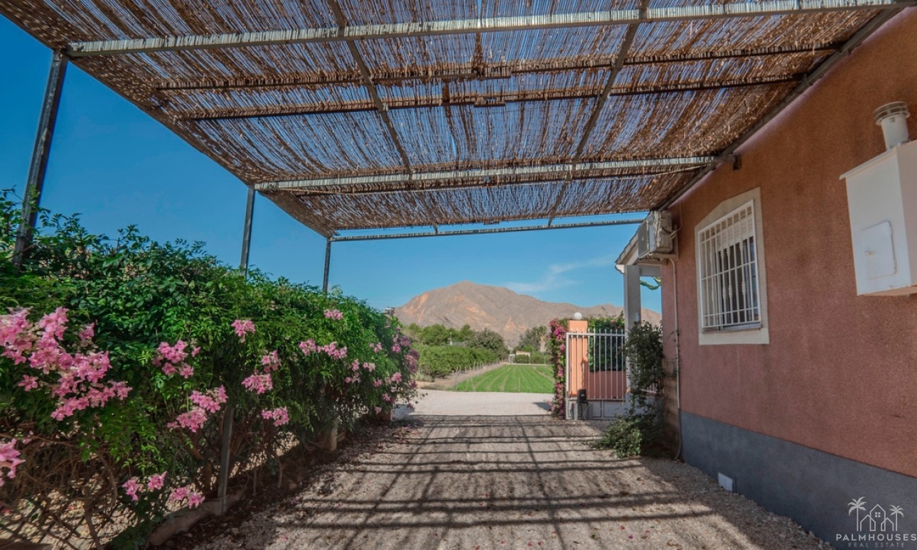 Herverkoop - Villa - Orihuela - San Bartolomé