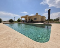 Herverkoop - Villa - Pinoso - Inland