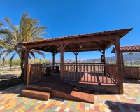 Herverkoop - Villa - Pinoso - Inland