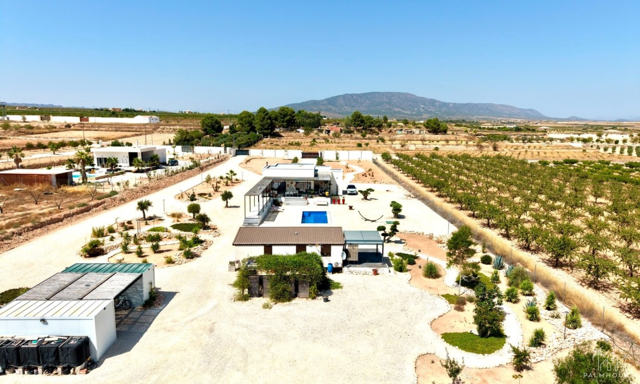 Herverkoop - Villa - Pinoso - Inland