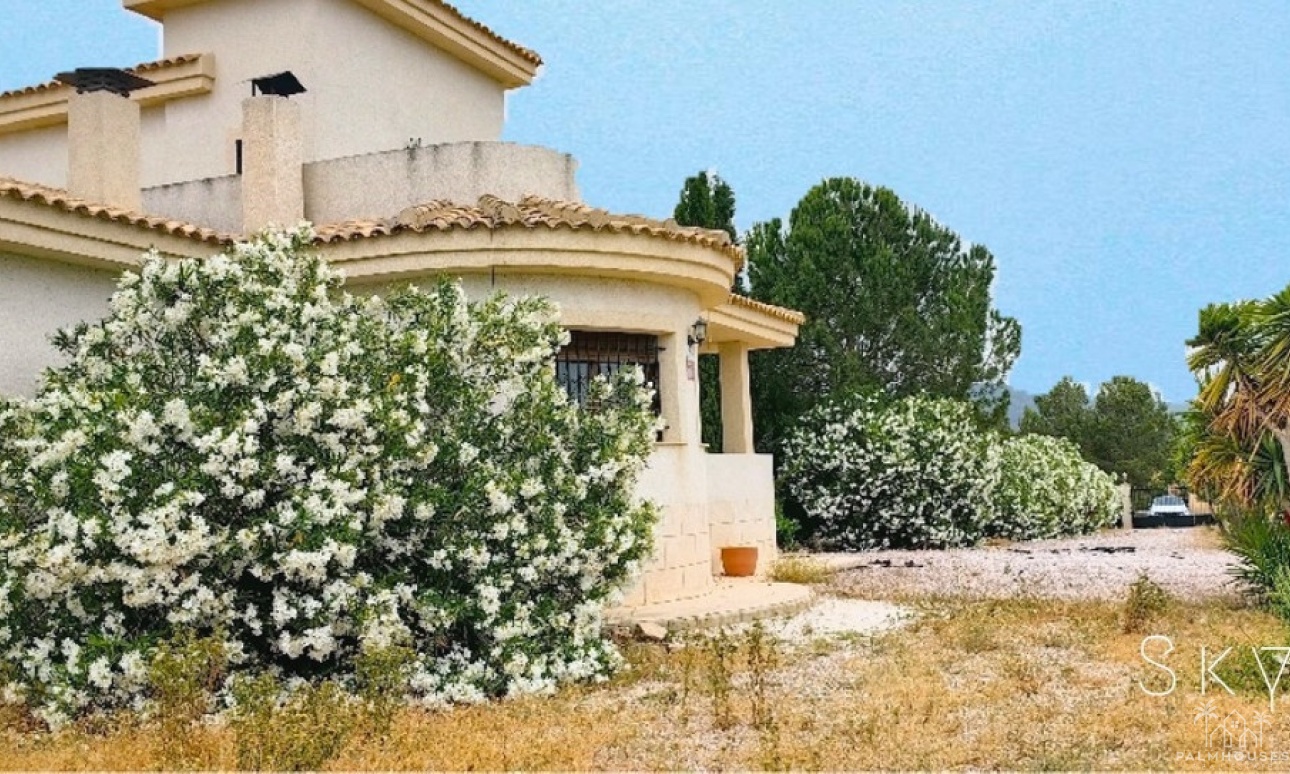 Herverkoop - Villa - Pinoso - Pinoso Centro
