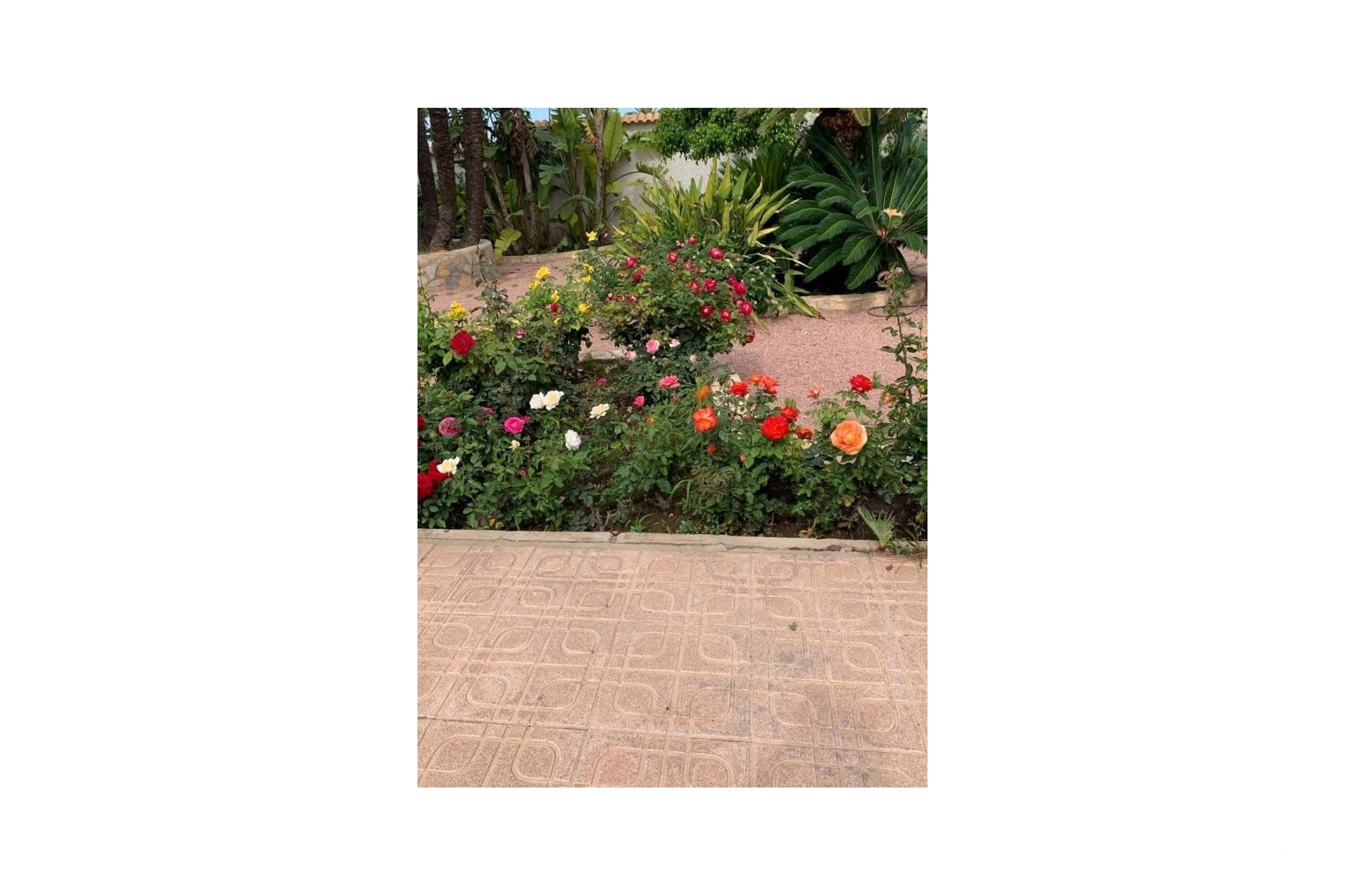 Herverkoop - Villa - Rojales - Ciudad Quesada