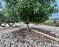 Herverkoop - Villa - San Fulgencio - San Fulgencio Centro