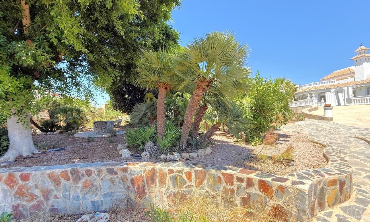 Herverkoop - Villa - San Miguel de Salinas - Blue Lagoon